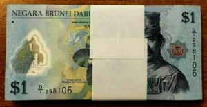 BRUNEI 1 RINGGIT 2011 x 100 Pcs Lot D/1 1st Prefix BUNDLE POLYMER UNC RAINFOREST - Picture 1 of 2