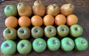 Menge 23 künstliche Früchte Wohndeko/Display/realistische Requisite Apfel Orange Birne - Bild 1 von 5