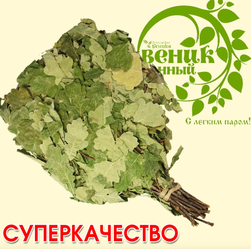 Eichenreisig für Sauna ca.55-60 cm lang Banja Баня Wenik Saunabesen Веник Quast - Bild 1 von 1