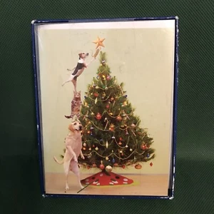 Christmas Cards 12 Count w/ Envelopes “Season’s Greeting’s” Dog Cat Lovers - Picture 1 of 4