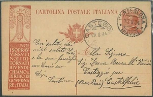 LIB135 - INTERO POSTALE con  Propaganda  Politica - PNF 1924 - Imagen 1 de 1