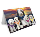 Family Sunset Dog Cat Greeting Card, Pet Photo Lovers Gift Invitation card