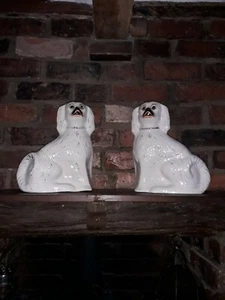 VICTORIAN STAFFORDSHIRE POT DOGS (PAIR) - Picture 1 of 4