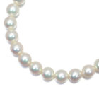 Auth Mikimoto Necklace Akoya Pearl 6.0-6.4mm Silver