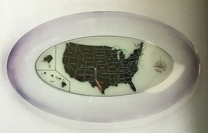 Mid Century Modern Glama Glass Platter with USA Map - Picture 1 of 9