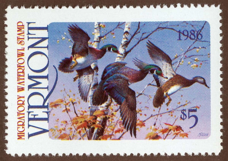 US Sc 1 Multi $5.00 No Gum 1986 Vermont State Waterfowl Hunting Permit Stamp - Image 1 of 1