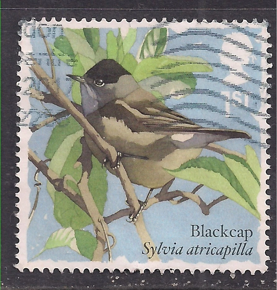 GB 2017 QE2 1st Songbirds Blackcap used SG 3953 ( B1002 ) - Image 1 of 1