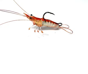 Shrimp Fishing Lure For Bombarda Float Setup Bass Salmon Real Live Effect - Picture 1 of 6