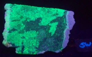 Fluorescent Large Slab of Anderson Mine Agate for Display or Specimen - Picture 1 of 7