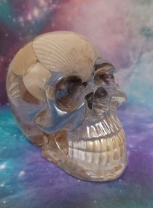 Unique Handmade Resin Sea Shell Skull 3? X 2 1/2? - Picture 1 of 2