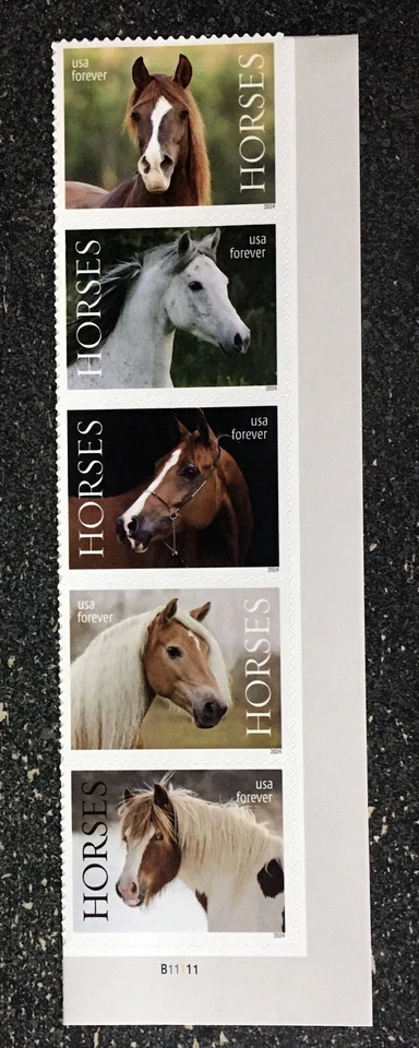 2024USA #5891-5895b Forever Horses - Lower Right Plate Strip of 5 - Image 1 of 1