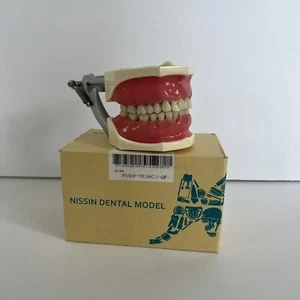 Nissin Dental Model Kilgore TR 56C QF - Picture 1 of 5