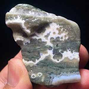 Raro 50G Natural Orbicular Océano Jaspe Piedra Áspera Sanación Madagascar L5987 - Imagen 1 de 9