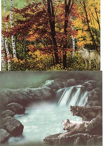 Forest Scene Postcard From Tree Free Greetings Incl. Envelope No 4 - Bild 1 von 1