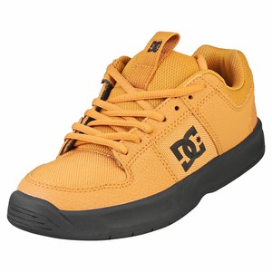 Las mejores ofertas en Beige Niños DC Shoes | eBay