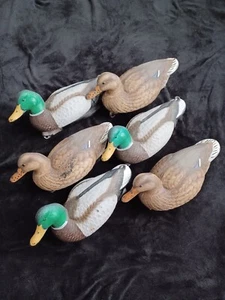 FLAMBEAU 6 Stockente Köder Erpel Henne Kunststoff 2004 - Bild 1 von 11