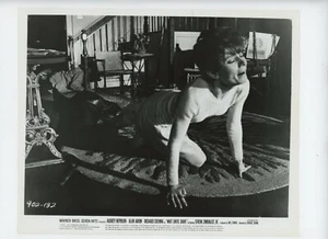 WAIT UNTIL DARK Original Movie Still 8x10 Audrey Hepburn 1967 23327 - Picture 1 of 2