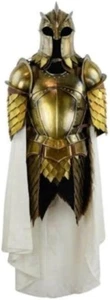Medieval Kings Guard Half Body Armor Suit Game of Throne Armor Suit Replica Role - Picture 1 of 13