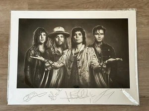 The STRUTS firmato Fine Art Giclée LE 17/50 giovane e pericoloso Luke Spiller RARO - Foto 1 di 3