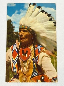 Vintage Postcard Native American Chief Grand Rapids Michigan 1960s - Picture 1 of 5