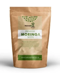 Pure Moringa Oleifera Seeds - Edible Drumstick Seeds - Natural | Raw | Non GMO - Picture 1 of 5