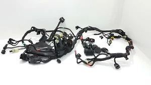 IMPIANTO ELETTRICO DUCATI MONSTER 821 2015 14255 KM - Foto 1 di 7