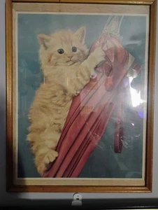 Katzenmotiv " Just Hanging Around" - Bild 1 von 2