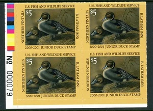 JUNIOR DUCK STAMP #8 2000 PLATE BLOCK  LOWER LEFT PINTAILS BY B. LATHHAM  - Picture 1 of 1