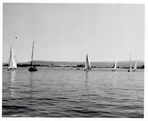 1961 Original Foto Segelboote & Yachten auf dem Columbia River entlang McNary Dam Oregon - Bild 1 von 2