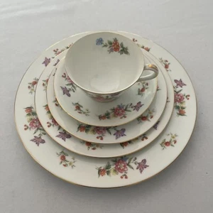 Aladdin Fine China DRESDENIA 5-Piece Place Setting - Multi-Color Floral Pattern - Picture 1 of 5
