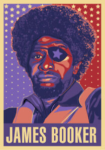 JAMES BOOKER - ONE EYED GAY JUNKIE NEW ORLEANS PIANO GENIUS ART PRINT POSTER