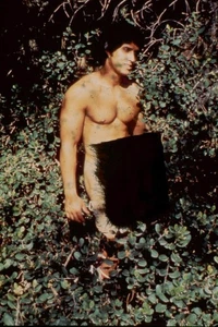 PAUL AMATI- VON J BRIAN --DAN ALAN FOTOGRAF- - GAY INTEREST--35MM DIA- - Bild 1 von 1