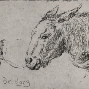 Hans Dietmann Esel Belderg Irland signiertRadierung auf Büttenpapier 20 Jhd - Bild 1 von 4