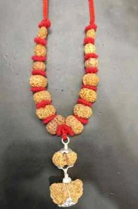 Rudraksha Siddha Mala - Java Beads {1 till 14 Mukhi Rudraksh} - Lab Certified - Picture 1 of 4