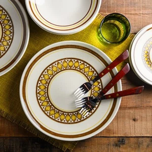 10 pc VERY RARE Taylor Smith Taylor HOMESTEAD Ironstone Plates + Bowls RETRO MCM - Picture 1 of 6