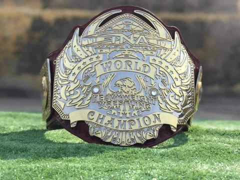 Old TNA World Heavyweight Wrestling Championship Belt 4MM Zinc Dual Plates Cover