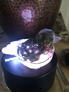 3.5” Length Orgonite Bird Sculpture, Energy quartz crystal healing - Picture 1 of 4