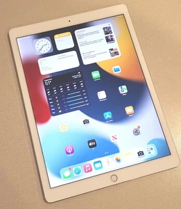 Apple iPad Pro 2nd Gen - A1670 - 256GB WiFi 12.9" Silver - Moderate, LCD Flicker - Afbeelding 1 van 5
