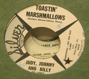 Toastin' Marshmallows JUDY, JOHNNY and BILLY 45 Record PROMO COPY!!!! - Picture 1 of 1