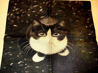 Square Cotton Canvas Black & White Kitten Pillow Cover 17" x 17" NEW (#90) - Image 1 of 4