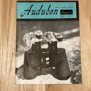 Vintage Original Audubon Magazine May - June 1953 birds nature outdoors - Imagen 1 de 12