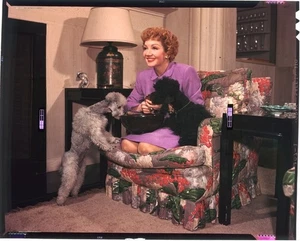 Claudette Colbert home photo shoot 1940's Vivid Color Original 5x4 Transparency - Picture 1 of 1