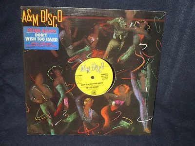 Peter Allen "Don't Wish Too Hard" 12" Single  Foto 1 de 2