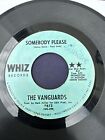 The Vanguards - Somebody Please / I Can't Use You Girl 45 RPM 7” Single Record