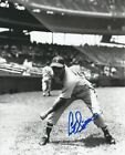 Curt Simmons 1950 Philadelphia Phillies Whiz Kids Autographed 8x10 Photo COA