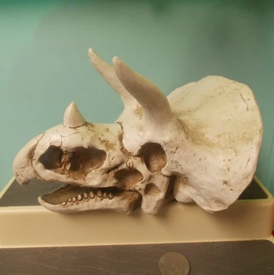 恐龙复制品骷髅模型装饰恐龙人偶三角龙 — 第 1/4 张图片