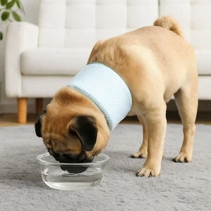Adjustable Cat Recovery Collar Mesh Pet Anti-lick Collar Allergy Prevention - Picture 1 of 14