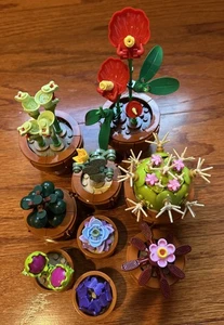 LEGO Botanicals: Tiny Plants 10329 - Imagen 1 de 4