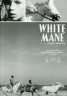 White Mane (Criterion Collection) (DVD, 2008) FACTORY SEALED 