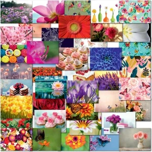 Doodlecards Pack of 40 Mixed Postcards All Different Flowers Butterflies Cakes - Picture 1 of 9